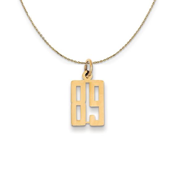 14k Yellow Gold Alumni Small Elongated Number 89 Necklace - 20 Inch